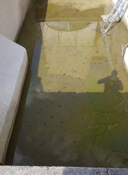 Bassin de fontaine avant nettoyage à Pertuis