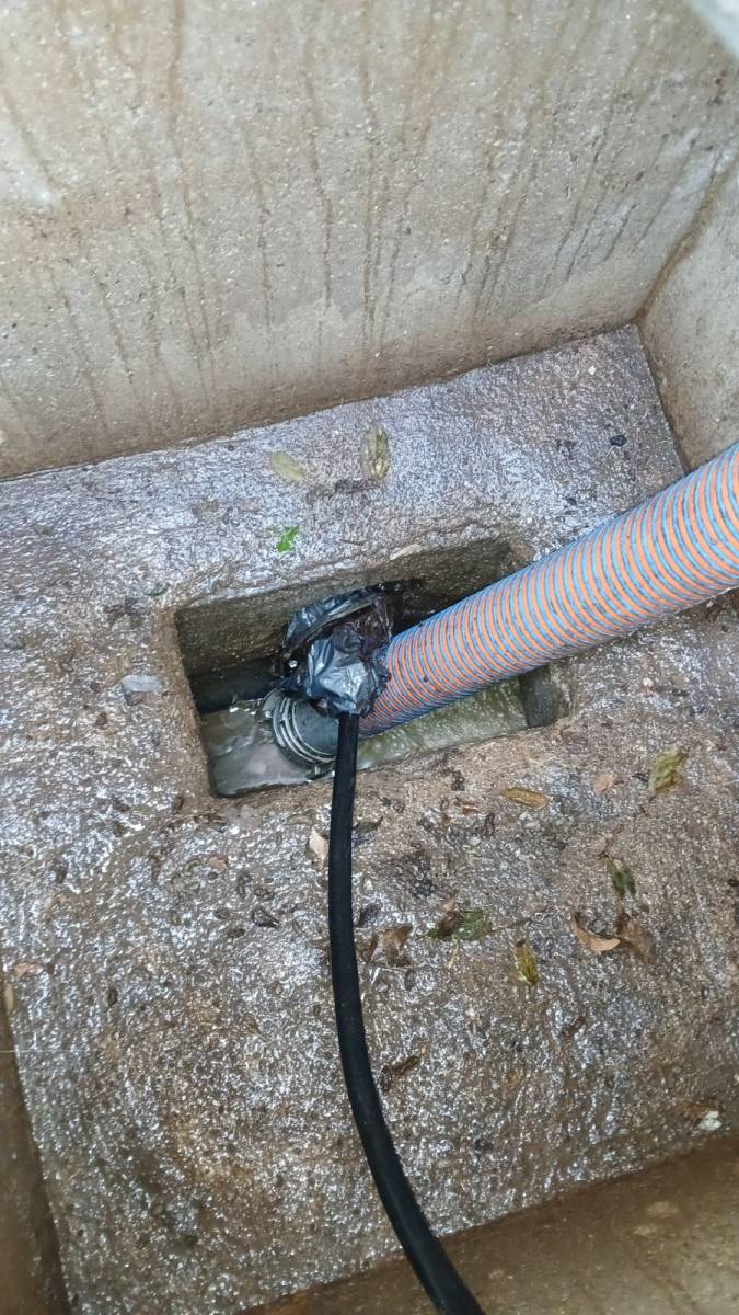 Sac poubelle dans une colonne EU