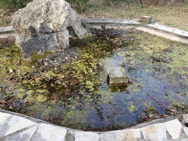 Bassin plein de vase à Saint Estève Janson