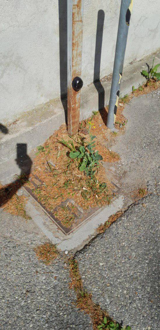 Réseau pluvial obstrué