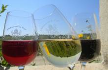 Domaine de Palestor à Orange